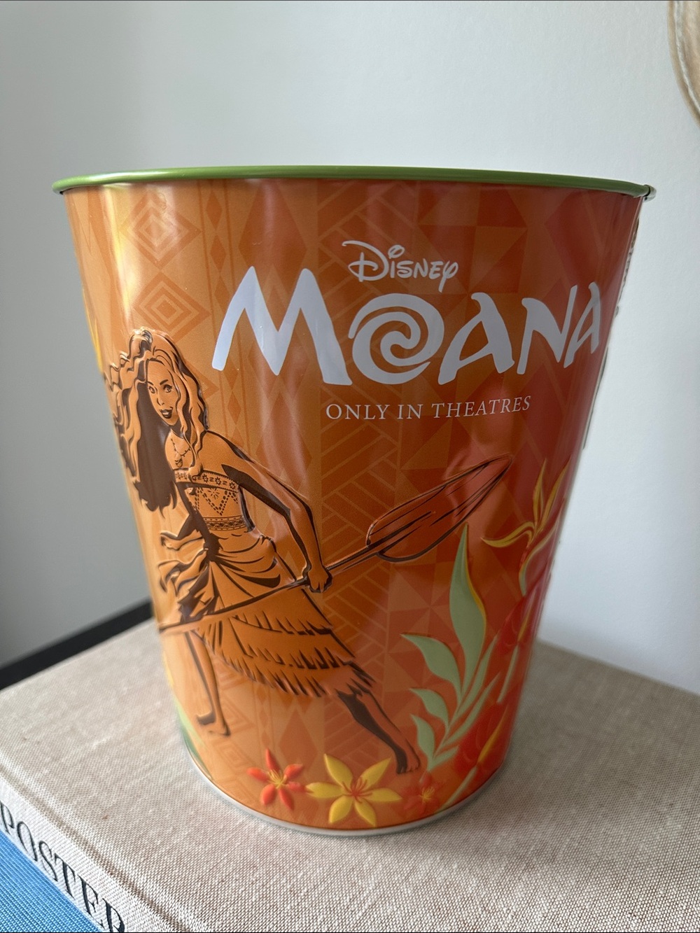 Moana Bucket